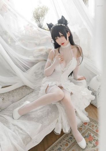 龙谷在线观看