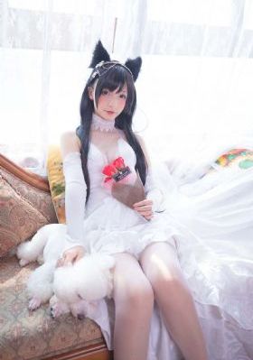 服从电影完整版免费